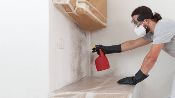 Professional Crawl Space Mold Removal technician working in Akron, NY