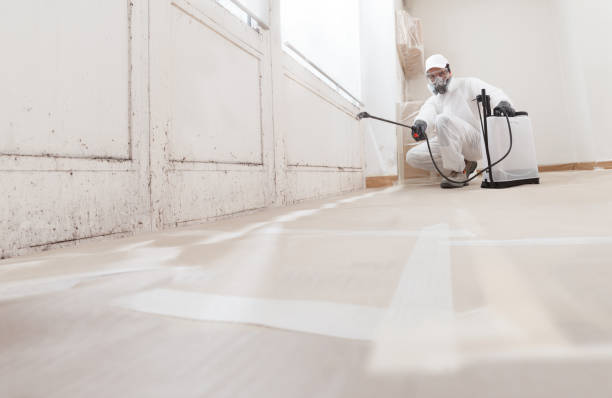 24/7 Emergency Crawl Space Mold Removal experts in Akron, NY