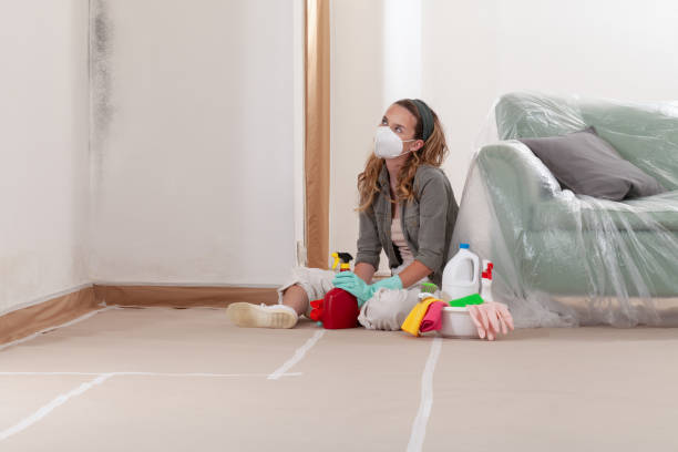 Reliable Crawl Space Mold Removal contractor in Akron, NY by WQB Mold Removal